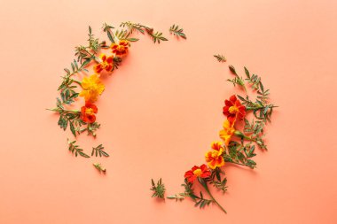 Renkli arkaplanda çiçek açan çerçeveden yapılmış