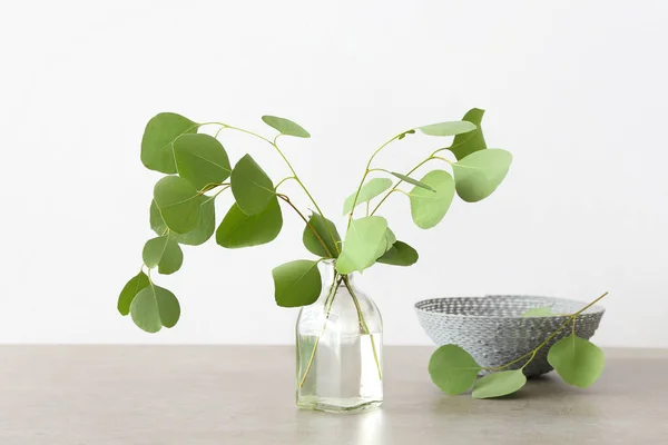 Vase Eucalyptus Branches Light Background — Stock Photo, Image