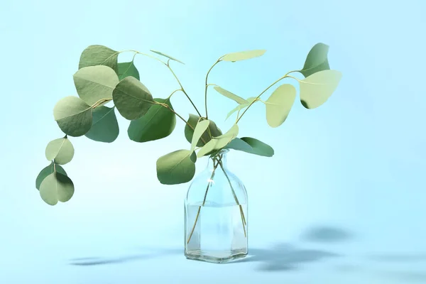 Vase Eucalyptus Branches Color Background — Stock Photo, Image