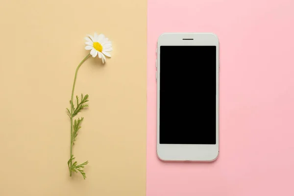 Modern Mobile Phone Chamomile Flowers Color Background — Stock Photo, Image