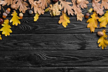 Kuru meşe yaprağı ve meşe palamudu.