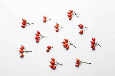 Beyaz arka planda taze gül kalçası böğürtlenli kompozisyon