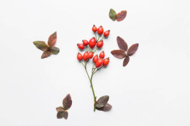 Taze gül kalçası böğürtlenli kompozisyon ve beyaz arka planda yapraklar