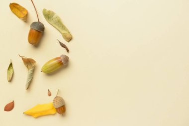 Arkaplanda meşe palamudu ve kuru yapraklarla sonbahar kompozisyonu