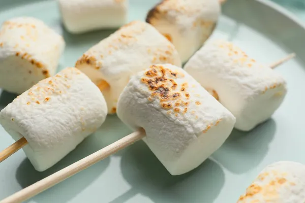 Spieße Mit Leckerem Gegrillten Eibisch Auf Teller Nahaufnahme — Stockfoto