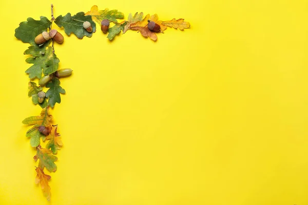 Βελανίδια Και Φύλλα Βελανιδιάς Κίτρινο Φόντο — Φωτογραφία Αρχείου