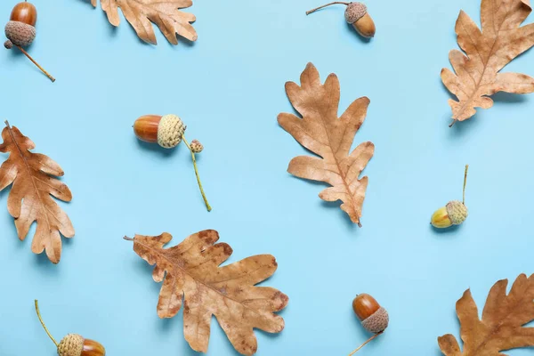 Dry Oak Tree Leaves Acorns Color Background Closeup — Stock Photo, Image