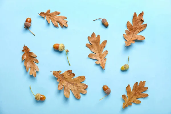Dry Oak Tree Leaves Acorns Color Background — Stock Photo, Image
