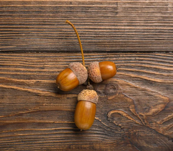 Oak Acorns Wooden Background — Stock Photo, Image
