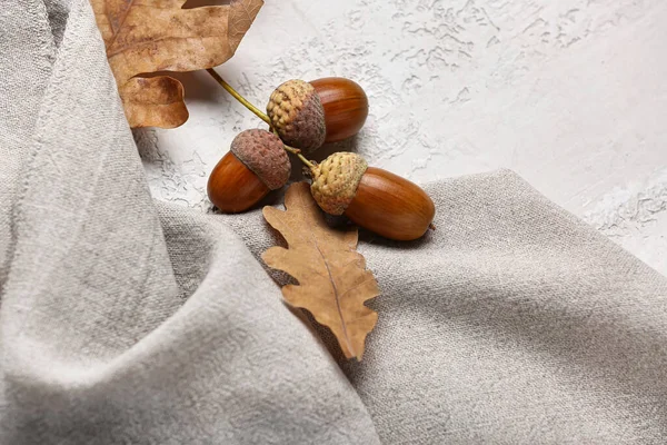 Oak Acorns Dry Leaves Fabric Light Background Closeup — Stock Photo, Image