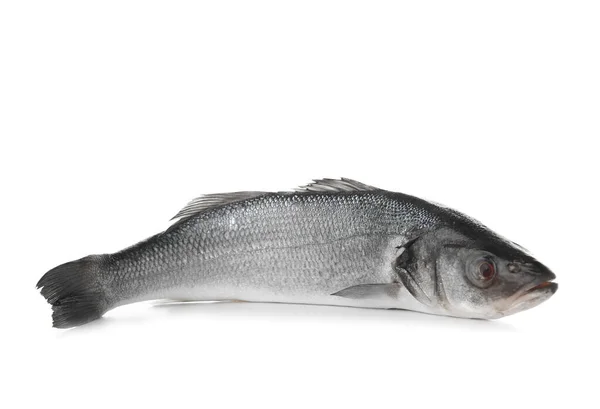 Beyaz Arka Planda Taze Pişmemiş Levrek Balığı — Stok fotoğraf