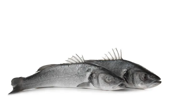 Fresh Uncooked Sea Bass Fish White Background — Stock Photo, Image