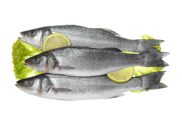 Fresh Uncooked Sea Bass Fish Lemon White Background — Stock Photo, Image