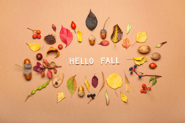 Frame made of dry leaves, berries, acorns and text HELLO FALL on color background
