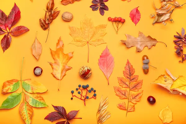 Όμορφη Φθινοπωρινή Διακόσμηση Δάσος Στο Φόντο Χρώμα — Φωτογραφία Αρχείου