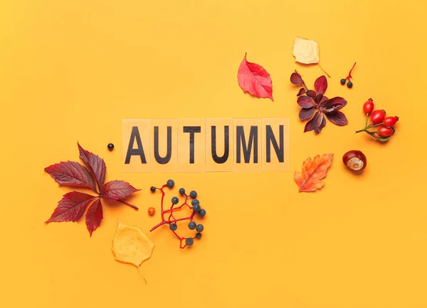 Mooi Bosdecor Woord Autumn Kleur Achtergrond — Stockfoto