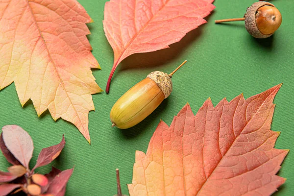 Callos Hojas Otoño Sobre Fondo Verde Primer Plano —  Fotos de Stock