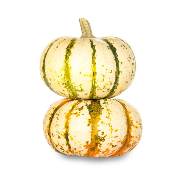 Whole Fresh Pumpkins Isolated White Background — Stock Photo, Image