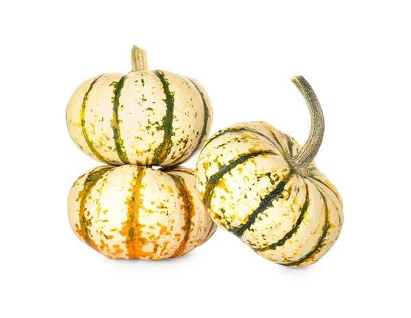 Whole Fresh Pumpkins Isolated White Background — Stock Photo, Image