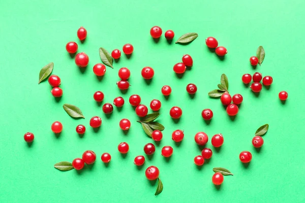 Ripe Lingonberry Leaves Color Background — Stock Photo, Image