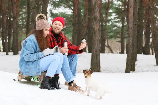 Feliz Pareja Joven Bebiendo Caliente Bosque Día Invierno —  Fotos de Stock