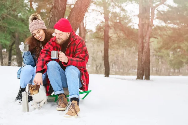 Jovem Casal Feliz Com Cão Floresta Dia Inverno — Fotografia de Stock