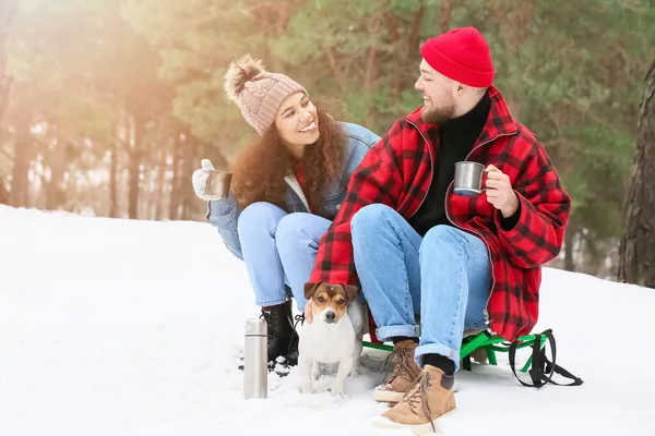 Jovem Casal Feliz Com Cão Floresta Dia Inverno — Fotografia de Stock