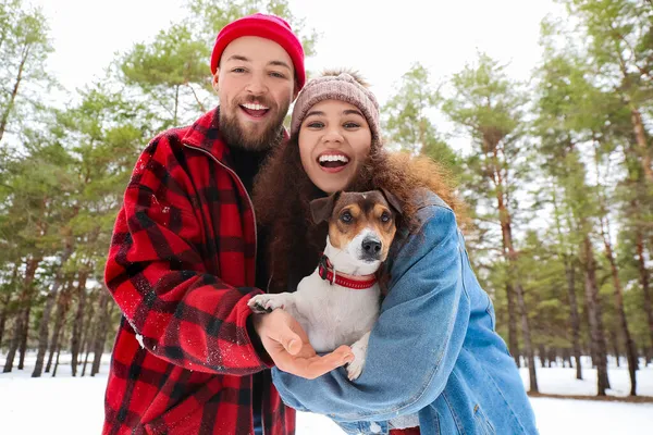 Feliz Pareja Joven Con Perro Bosque Día Invierno —  Fotos de Stock