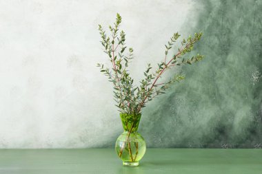 Renk duvarının yanındaki masada yeşil okaliptüs dallı vazo.