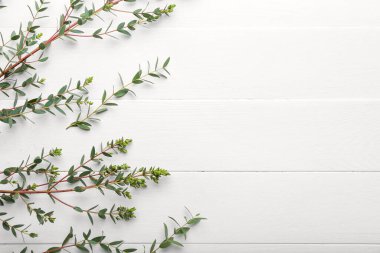 Açık ahşap zemin üzerinde yeşil okaliptüs dalları