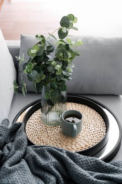 Okaliptüs dallı vazo ve odadaki kanepede bir fincan çay.