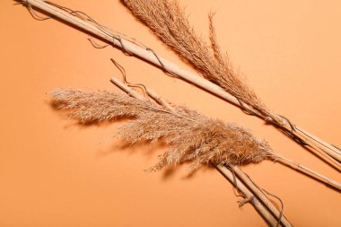 Turuncu arka planda kuru sazlıklar