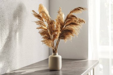 Beyaz duvar ve pencerenin yanındaki masada kuru sazlıklar olan vazo