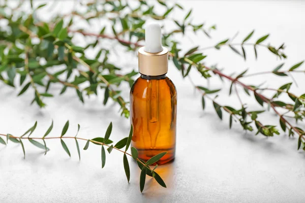 Bottle Eucalyptus Oil Light Background — Stock Photo, Image