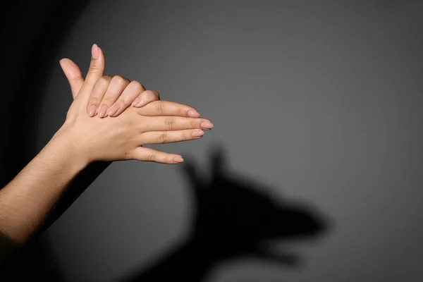 Mujer Haciendo Sombra Perro Con Sus Manos Sobre Fondo Oscuro —  Fotos de Stock