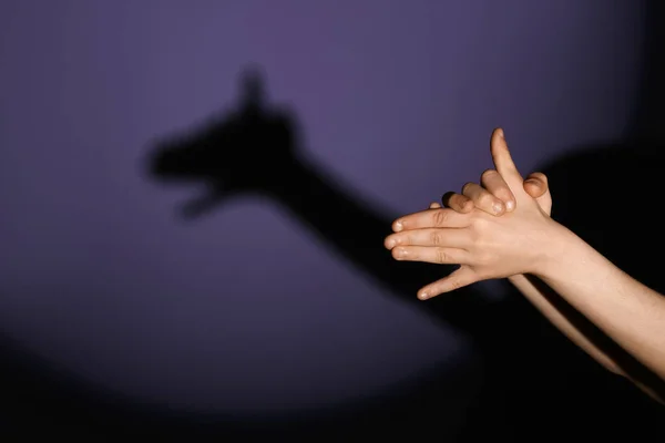 Child Making Shadow Dog His Hands Dark Color Background — Stock Photo, Image