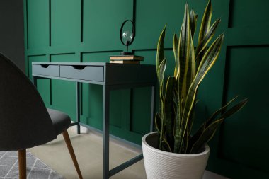 Yeşil duvarın yanında kitap ve lamba bulunan ev bitkisi ve rahat işyeri