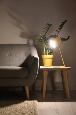 Parlayan lamba, çiçek ve kanepeli bir masa.