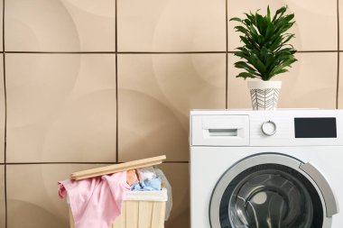 Çamaşır makinesi, çamaşır makinesi ve bej duvarın yanında bitki bulunan ahşap sepet.