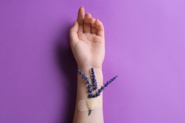 Tıbbi alçılı ve lavanta çiçekli kadın eli.