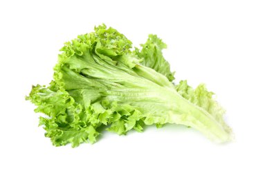 Beyaz arka plan üzerinde izole marul yaprağı