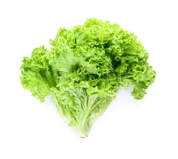 Fresh Green Lettuce White Background — Stock Photo, Image