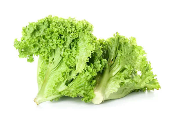Hromádky Zeleného Salátu Bílém Pozadí — Stock fotografie