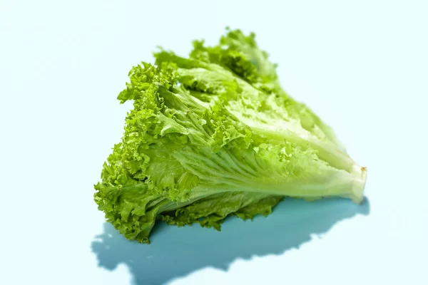 Bunch Fresh Lettuce Blue Background — Stock Photo, Image