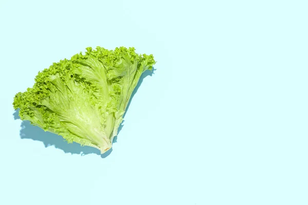 Bunch Fresh Lettuce Blue Background — Stock Photo, Image