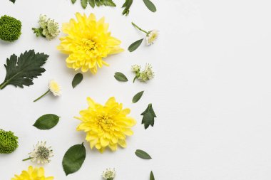 güzel çiçekler ve yapraklar beyaz arka planda izole edilmiş