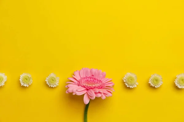 Belles Fleurs Sur Fond Jaune Concept Unicité — Photo