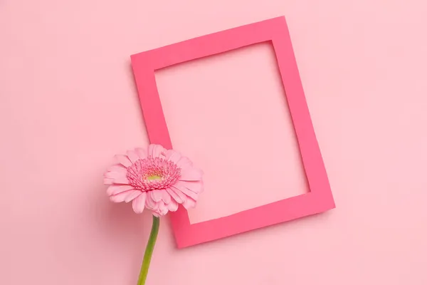 Empty Picture Frame Gerbera Flower Color Background — Stock Photo, Image