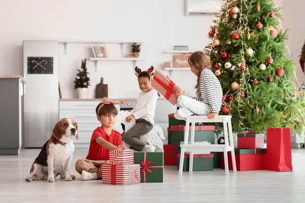 Noel arifesinde evde hediyeleri ve köpekleri olan sevimli küçük çocuklar.