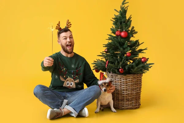 Young Man Christmas Sparkler Cute Dog Yellow Background — Stock Photo, Image